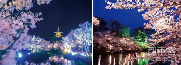 左图：无锡拈花湾夜景。右图：京都清水寺夜樱。